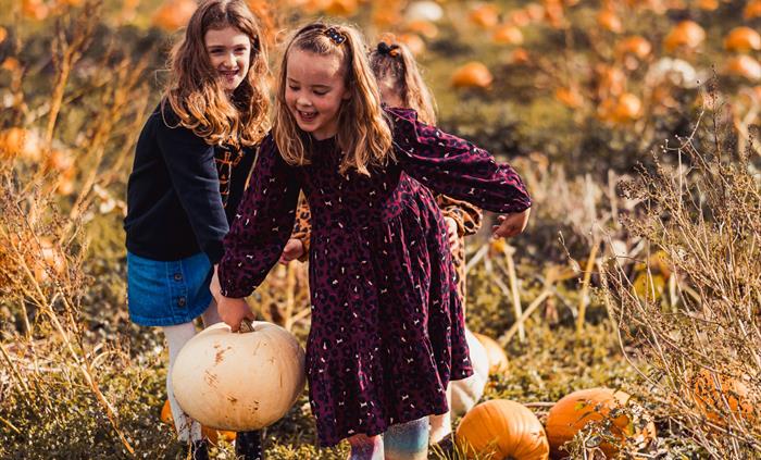 Children-Pumpkin-Picking